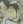 Hashimoto, Akira