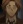 Cavendish, Sir Isaac