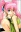 Li, Raichi