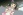 Shouda, Sumire
