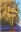 Leonhart XIV