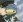 Hibird