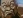  Zangief