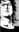  Shingo
