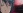 Shito