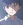 Terao, Noboru