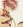  Shiba