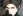 Vexille