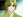 Akifumi