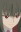 Belphegor