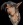 Dark Link