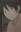  Shige