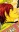 Shou