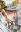 Jotaro