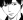  Hasegawa