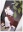 Akito