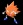 Don Patch