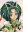Akimoto, Komachi