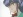 Shiratori, Hinako