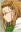 Hanaki, Sister