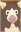 Kinobori Kangaroo