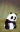 Tao Tao