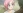 Aikawa, Momo