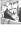  Cao 