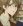  Kakei