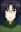 Kagayaki, Tokiya