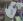 Yuuki, Keisuke