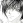  Shin