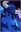 Blue Knight