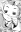  Rostam