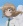 Tanabe, Ryou