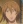 Tsunomata, Raigyou