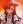  Hina