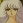 Tsugumo, Ryoko