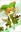  Sylph