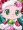 Decosanta