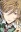 Shiba, Reiichirou