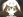  Ecchan