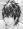  Tatsumi