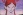 Giwaku