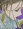 Onashia