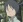 Nekome, Takeru