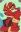 Scanty