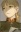 Alister