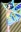 Rinne