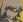 Yukihime